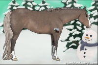 Horse Color:Silver Black 