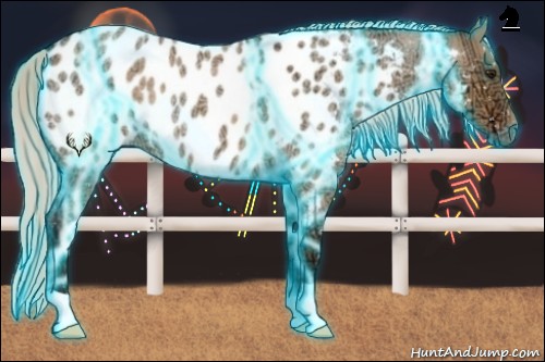Horse Color:Thunderstruck Silver Bay Ice Roan Dun Appaloosa 
