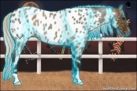 Horse Color:Thunderstruck Silver Bay Ice Roan Dun Appaloosa 