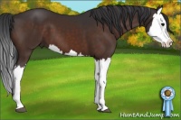 Horse Color:Brown Splash 