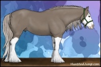 Horse Color:Silver Grullo Splash