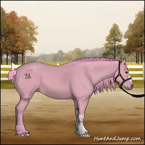 Horse Color:Watercolor Bay 