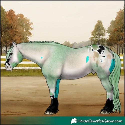 Horse Color:Watercolor Bay Onyx Varnish