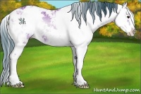 Horse Color:Watercolor Bay Ice Onyx Sabino