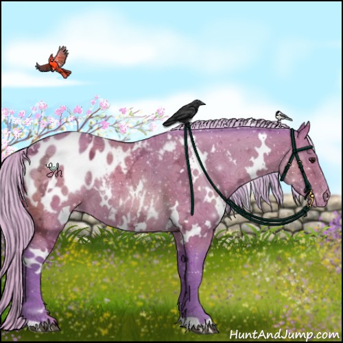 Horse Color:Watercolor White Spotted Silver Brown Ice Appaloosa 