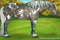 Horse Color:Watercolor White Spotted Silver Brown Ice