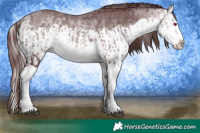 Horse Color:Chocolate Silver Buckskin Chinchilla Splash and Chocolate Buckskin Chinchilla Splash