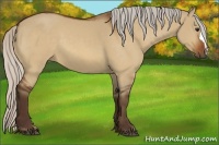 Horse Color:Silver Bay Dun 