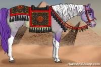Horse Color:Watercolor Brown Tobiano Appaloosa Rabicano 