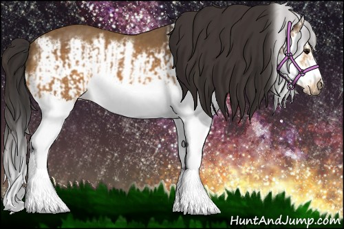 Horse Color:Buckskin Splash  and Buckskin Splash Frame 