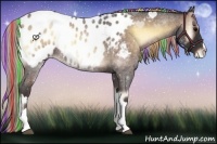 Horse Color:Painted Silver Brown Roan Onyx Near Leopard Rabicano 