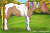 Horse Color:Painted Silver Bay Dun Tobiano Rabicano 