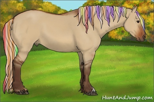 Horse Color:Painted Silver Bay Dun 