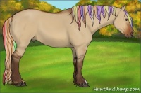 Horse Color:Painted Silver Bay Dun 