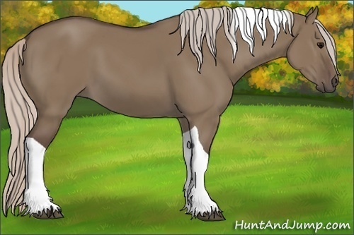 Horse Color:Silver Grullo Tobiano