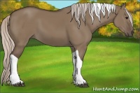 Horse Color:Silver Grullo Tobiano 
