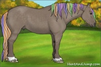 Horse Color:Painted Silver Grullo