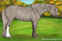 Horse Color:Silver Grullo Rabicano 