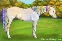 Horse Color:Painted White Spotted Silver Amber Champagne Dun Splash Rabicano