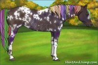 Horse Color:Painted White Spotted Liver Chestnut Rabicano 