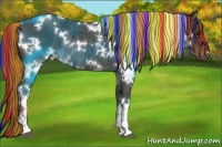 Horse Color:Painted White Spotted Liver Chestnut Rabicano 