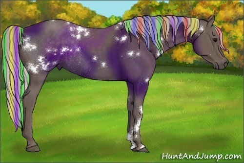 Horse Color:Painted White Spotted Silver Black Rabicano