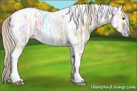 Horse Color:Silver Grullo Ice Tobiano Appaloosa Rabicano 