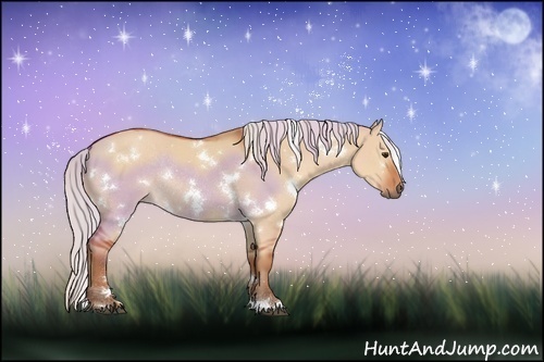 Horse Color:White Spotted Silver Bay Dun Rabicano