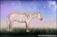 Horse Color:White Spotted Silver Bay Dun Rabicano 