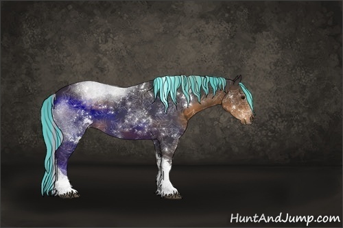 Horse Color:Painted White Spotted Silver Smoky Black Tobiano Rabicano