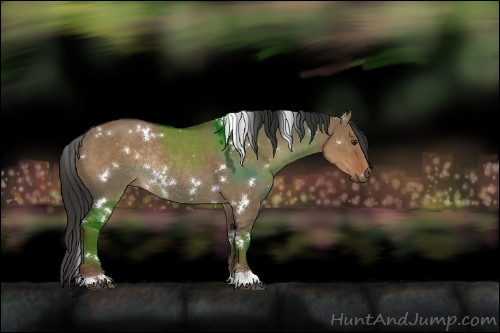 Horse Color:White Spotted Liver Red Dun Rabicano 