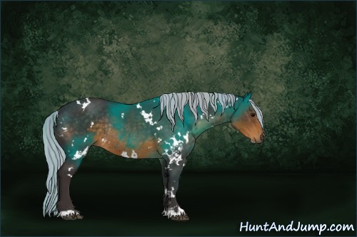 Horse Color:Painted White Spotted Silver Smoky Black Rabicano