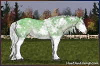 Horse Color:Watercolor White Spotted Silver Black Chinchilla Ice Splash Rabicano 