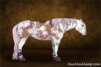 Horse Color:Painted Silver Brown Ice Dun Sabino Splash