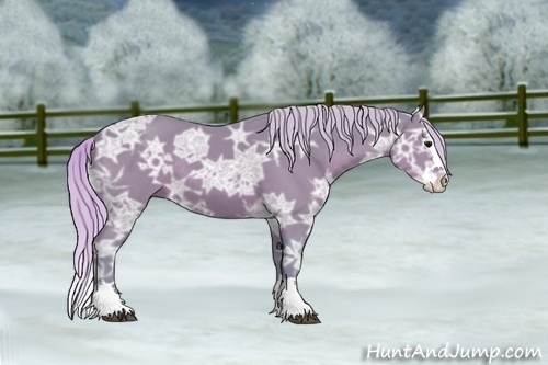 Horse Color:Watercolor Silver Black Ice Sabino Splash Rabicano 