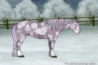 Horse Color:Watercolor Silver Black Ice Sabino Splash Rabicano 