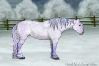 Horse Color:Watercolor White Spotted Silver Brown Ice Dun