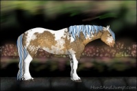 Horse Color:Painted Silver Buckskin Ice Dun Sabino Tobiano Rabicano 