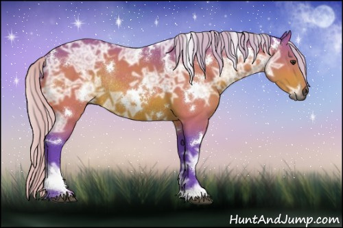 Horse Color:Gray Watercolor White Spotted Silver Brown Ice Rabicano 
