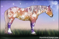 Horse Color:Gray Watercolor White Spotted Silver Brown Ice Rabicano 
