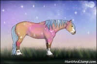 Horse Color:Painted White Spotted Silver Buckskin Dun Sabino Splash Rabicano 