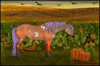 Horse Color:Painted White Spotted Silver Brown Dun Rabicano