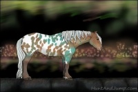 Horse Color:Silver Buckskin Sabino Near Leopard Rabicano 