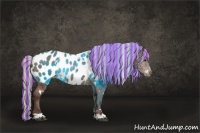 Horse Color:Painted White Spotted Silver Brown Appaloosa Rabicano 