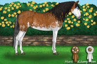 Horse Color:Gray Buckskin Splash  and Gray Buckskin Splash Rabicano 