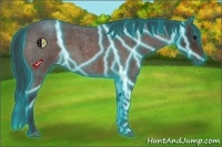 Horse Color:Thunderstruck Brown Roan 