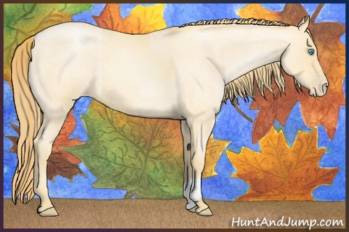 Horse Color:Buckskin Roan Pearl and Buckskin Roan Pearl