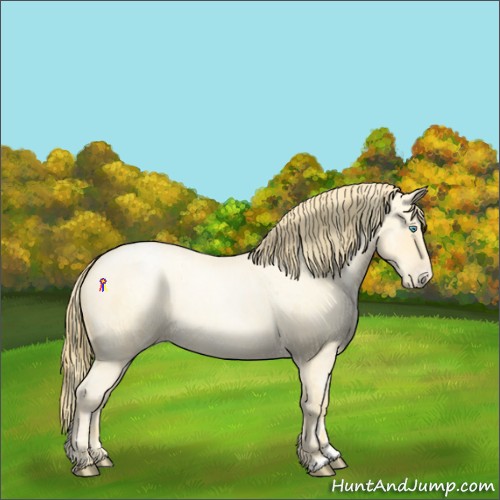 Horse Color:Buckskin Roan Pearl  and Buckskin Roan Pearl Rabicano 