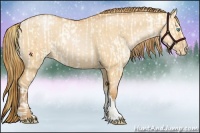Horse Color:Buckskin Roan Pearl Dun  and Bay Roan Pearl Dun 