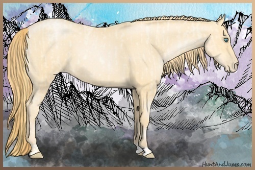 Horse Color:Buckskin Roan Pearl and Buckskin Roan Pearl